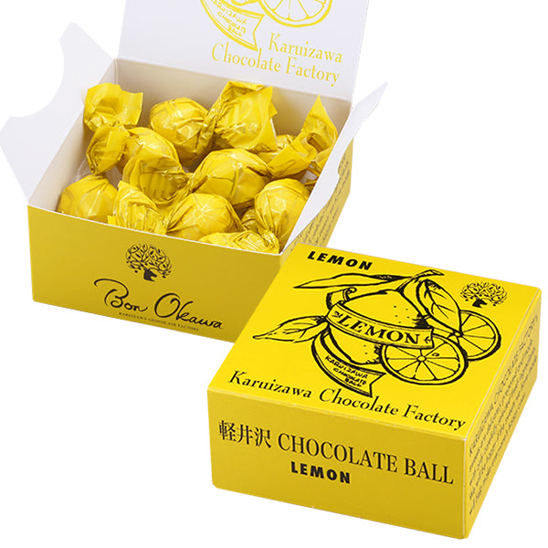 チョコボーイ 4902888255090.jpg